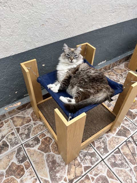 Rascador cama con hamaca azul